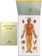 Acupuncture Charts in Book Form