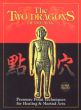 The Two Dragons of Dim Mak: Pressure Point Techniques for Healing & Martial Arts