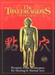 The Two Dragons of Dim Mak: Pressure Point Techniques for Healing & Martial Arts