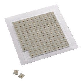 Gold Magnetic Ear Tack (100 pieces)