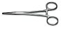 Mosquito Locking Forceps (Straight) 13cm