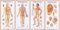 Acupuncture Wall Chart Set