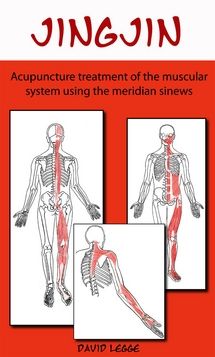 Jing Jin: Acupuncture treatment of the muscular system using the meridian sinews