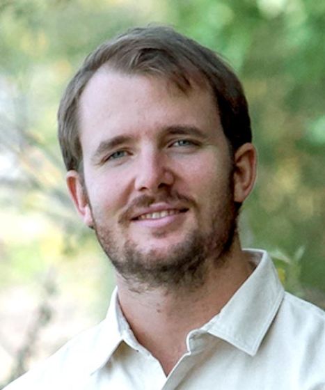 Medicinal Mushrooms and the Immune System