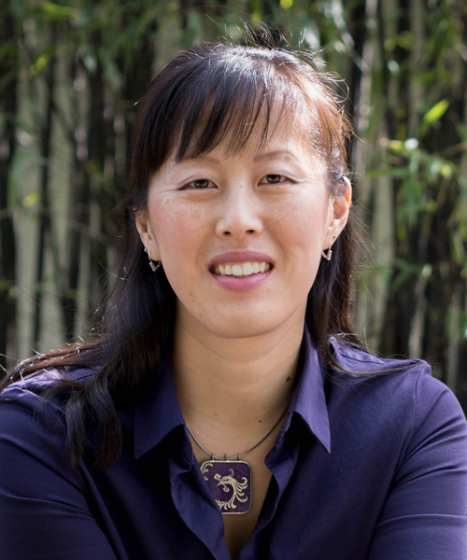 Multiple Systems: Balance System Acupuncture - Level 2