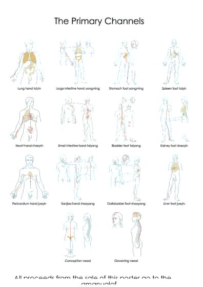 Primary Channels poster