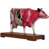 Animal Acupuncture Models - Cow