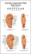 Auricular Acupuncture Point Wall Chart Set