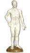 Chinese Body Model - Male 18"