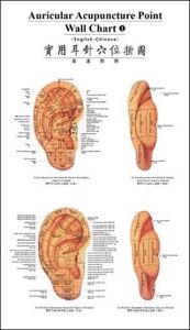 Auricular Acupuncture Point Wall Chart Set