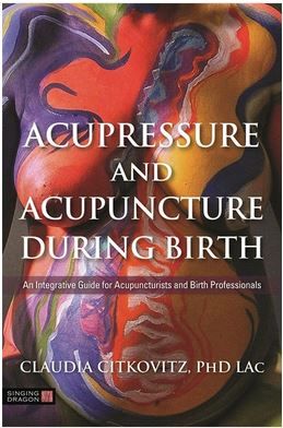 Acupressure and Acupuncture during Birth An Integrative Guide for Acupuncturists and Birth Professionals