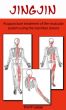 Jing Jin: Acupuncture treatment of the muscular system using the meridian sinews