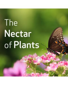 The Nectar of Plants: Essential Oils and Chinese Medicine Series