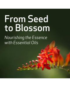 From Seed to Blossom