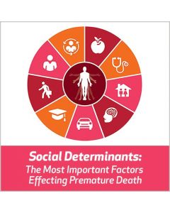 Social Determinants: The Most Important Factors Effecting Premature Death