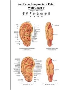 Auricular Acupuncture Point Wall Chart Set