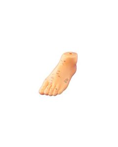 Foot Model - 5"
