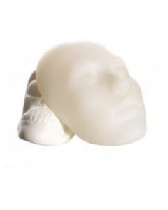 Silicone Full Face And Skeletal Model