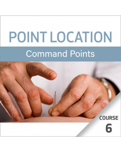 Point Location Series: Command Points - Course 6