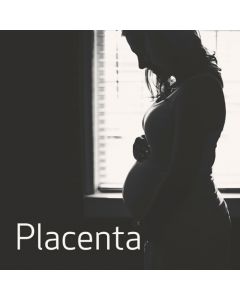 Placenta