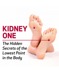 Kidney 1