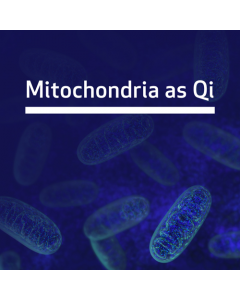 Mitochondria