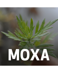 Moxa