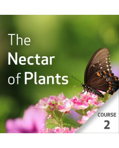 The Nectar of Plants: Essential Oils and Chinese Medicine Series - Course 2