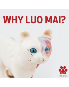 Why Luo Mai?