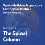 Sports Medicine Acupuncture Certification (SMAC) Webinar Program - Module I: The Spinal Column