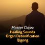 Master Class: Healing Sounds Organ Detoxification Qigong