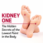 Kidney 1