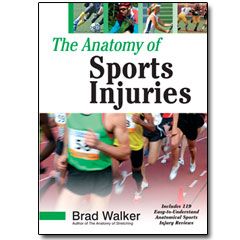 The Anatomy of Sports Injuries
