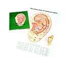 Acricular Points Chart